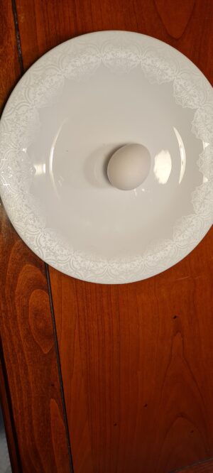 Våra hönor värper sina egna ägg!